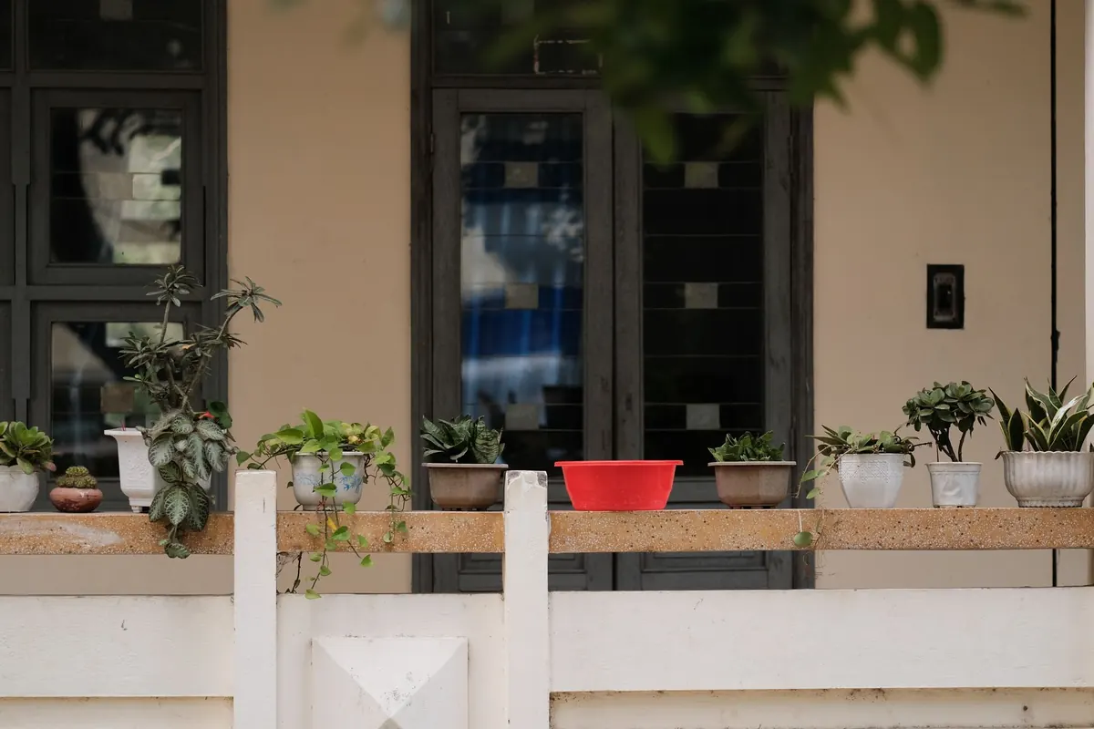 Seasonal Guide: What to Plant in a Balcony Garden Each Month